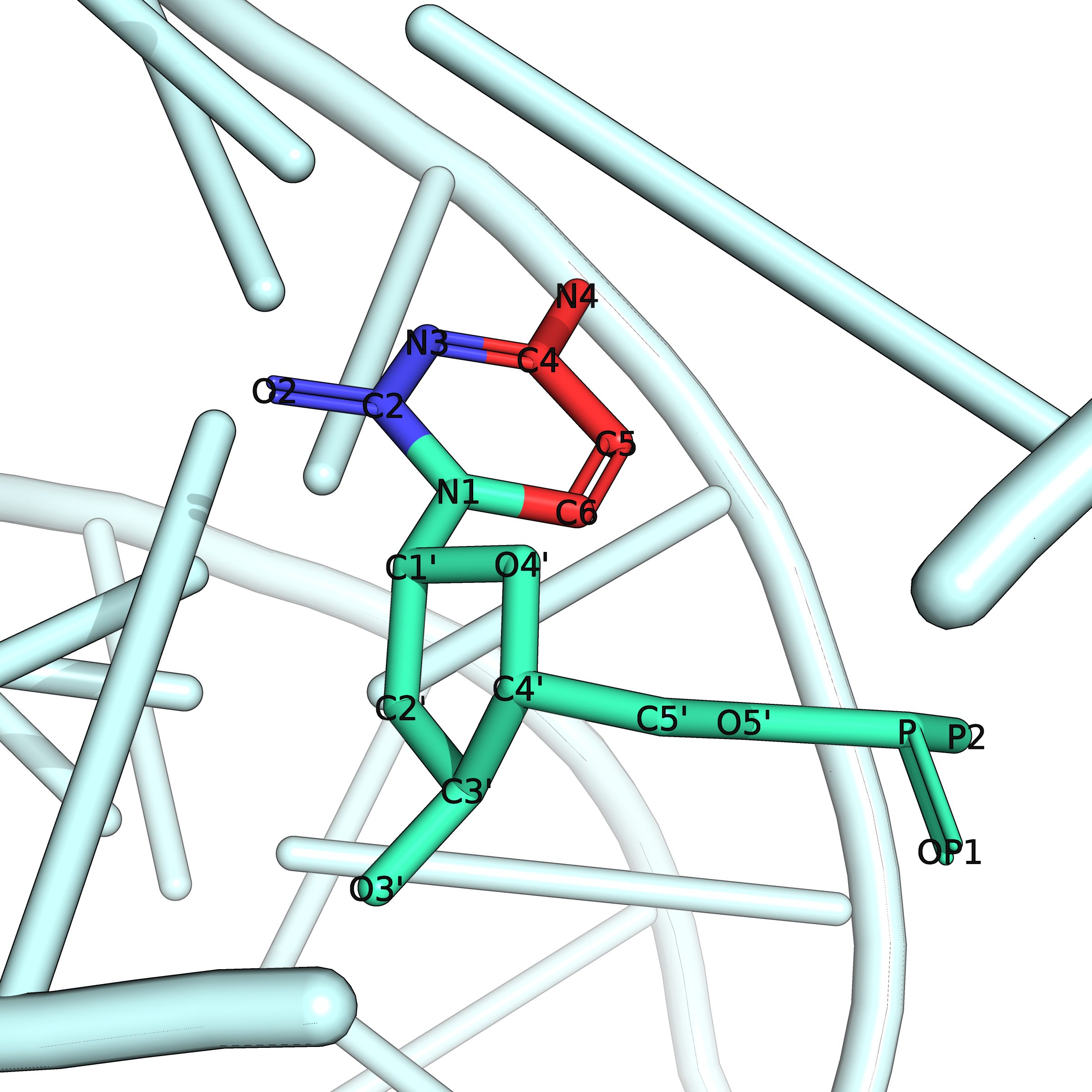 cytosine